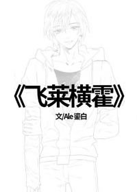 网红难当（飞莱横霍）