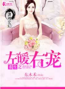 重生之左暖右爱